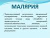 Малярия. Трансмиссивный антропоноз,