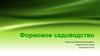 Формовое садоводство