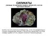 Силикаты. Породообразующие минералы