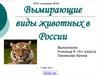 Вымирающие виды животных в России