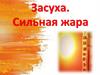 Засуха. Сильная жара