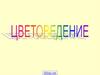 Цветоведение и колористика