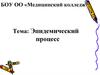 Эпидемический процесс