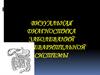 Визуальная диагностика заболеваний пищеварительной системы