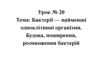 Бактерії - найменші одноклітинні організми. Будова, поширення, розмноження бактерій