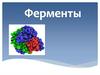 Ферменты. Механизм работы фермента