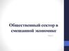 Общественный сектор в смешанной экономике