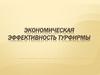 Экономическая эффективность турфирмы