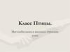 Класс Птицы. Внешнее строение сизого голубя