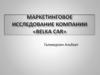 Маркетинговое исследование компании «Belka car»