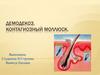 Демодекоз. Контагиозный моллюск