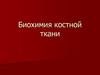 Биохимия костной ткани