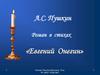 А.С. Пушкин. Роман в стихах «Евгений Онегин»
