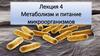 Метаболизм и питание микроорганизмов