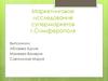 Маркетинговое исследование супермаркетов