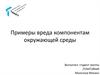 Примеры вреда компонентам окружающей среды