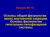 Физиология желез внутренней секреции. Физиология гипоталамо-гипофизарной системы. (Лекция 12)
