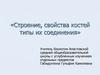 Строение, свойства костей типы их соединения