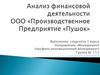 Анализ финансовой деятельности ООО «Производственное Предприятие «Пушок»