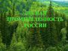 Лесная промышленность России