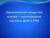 Органические вещества клетки – нуклеиновые кислоты ДНК и РНК