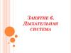 Дыхательная система