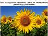 Влияние света на прорастание семян подсолнечника