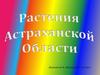 Растения Астраханской области