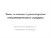 Заместительная гормонотерапия климактерического синдрома