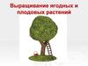 Выращивание ягодных и плодовых растений. Размножение