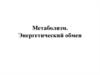 Метаболизм. Энергетический обмен