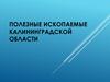 Полезные ископаемые Калининградской области
