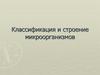 Классификация и строение микроорганизмов