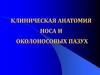 Клиническая анатомия носа и околоносовых пазух