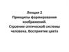 Принципы формирования изображений. Строение оптической системы человека. Восприятие цвета