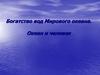 Богатство вод Мирового океана. Океан и человек. 6 класс