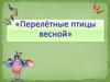 Птицы перелетные - подготовительная группа