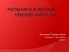Растения и животные Красной книги РФ