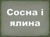 Сосна і ялина