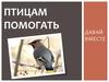 Птицам помогать давай вместе