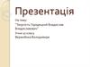 Городецький Владислав Владиславович. Творчість