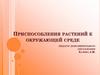 Приспособления растений к окружающей среде