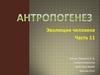 Антропогенез. Эволюция человека. Расселение кроманьонцев по материкам. Часть 11