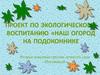Проект по экологическому воспитанию «Наш огород на подоконнике» вторая младшая группа