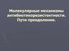 Молекулярные механизмы антибиотикорезистентности. Пути преодоления