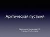 Арктическая пустыня
