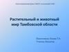 Растительный и животный мир Тамбовской области