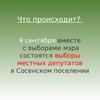 Выборы местных депутатов в Сосенском поселении