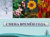Смена времен года. Тематическое занятие