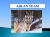 Arlan Team